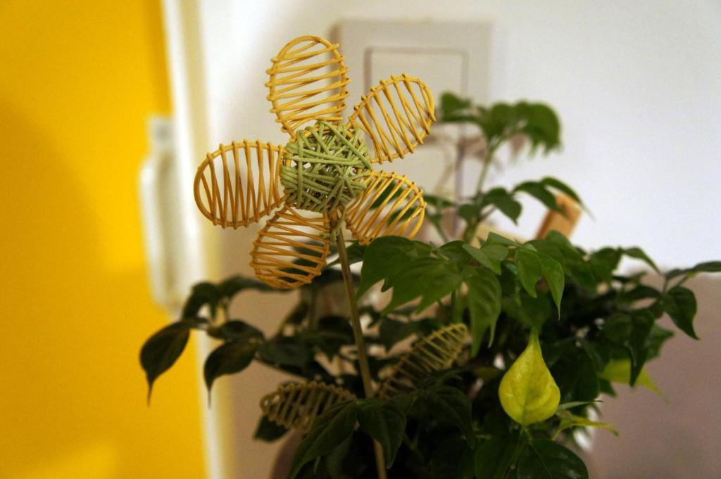 Uja Guesthouse 서울특별시 외부 사진